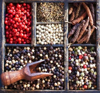 Varieties of peppercorns Stock Photos