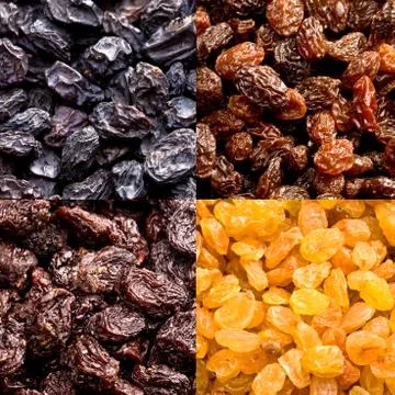 Varieties of raisins Stock Photos