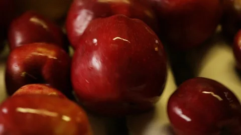 Varieties of red apples are sorted on line at orchard farm N Stock Footage 124329983