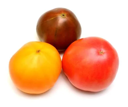 Varieties of tomatoes isolated on white background. Assorted tomato is yell.. Stock Photos