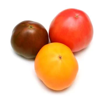 Varieties of tomatoes isolated on white background. Assorted tomato is yell.. Stock Photos
