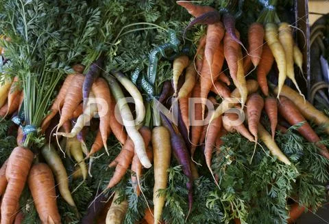 Variety Of Carrots