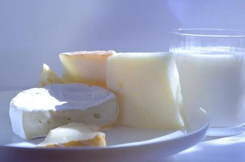 Variety of cheese. Stock Photos