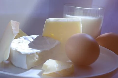 Variety of cheese. Stock Photos
