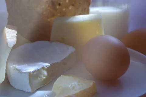Variety of cheese. Stock Photos