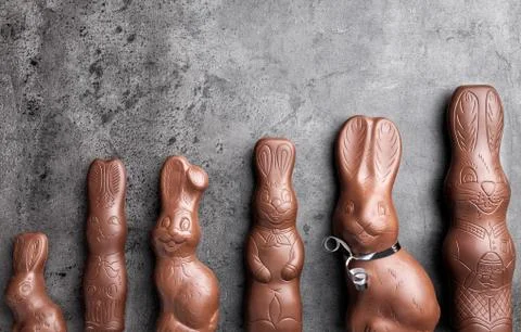 Variety of chocolate Easter bunnies on rustic background Stock Photos