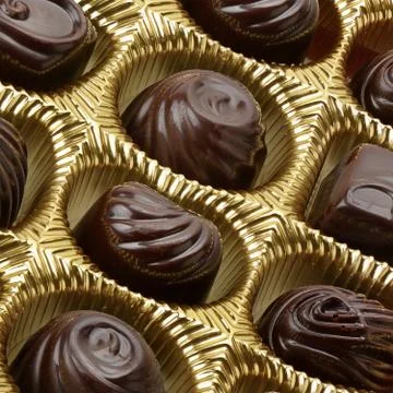 Variety of chocolates in box 写真素材