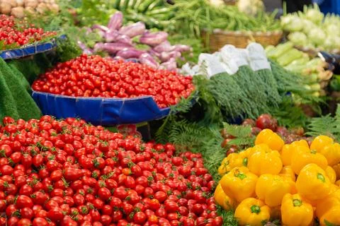 Variety of colorful fresh organic vegetables on the farmers market stall Stock Photos