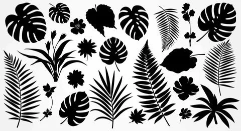 A variety of different leaf shapes and patterns displayed in a monochromati.. Illustrazione stock