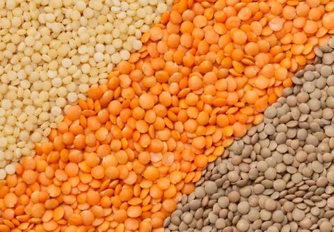 Variety of different lentil types Stock Photos