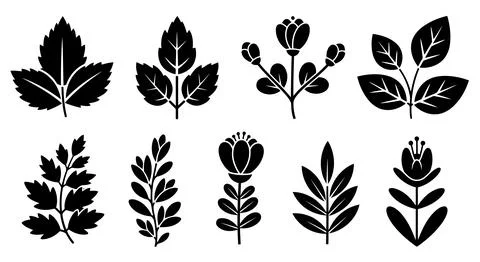 A variety of different types of leaves and ferns in a black and white illus.. 스톡 일러스트