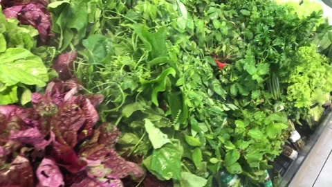 Variety of Fresh Vegetables Stock Footage 321751191