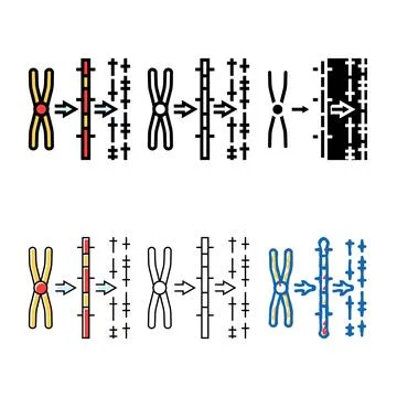 Variety gene mapping cryptogenetics color icon vector Stock Illustration