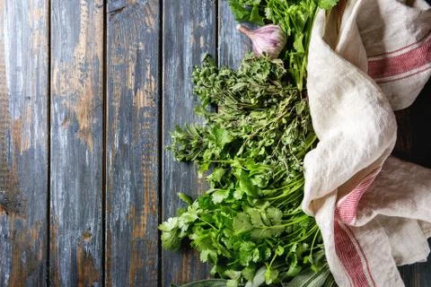 Variety of herbs Foto stock