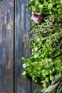 Variety of herbs Stock Photos