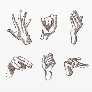 Variety of human hands set Stock Illustration