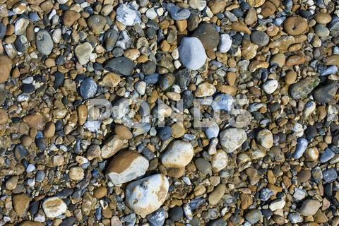 Variety of pebbles on a beach Stock Photos