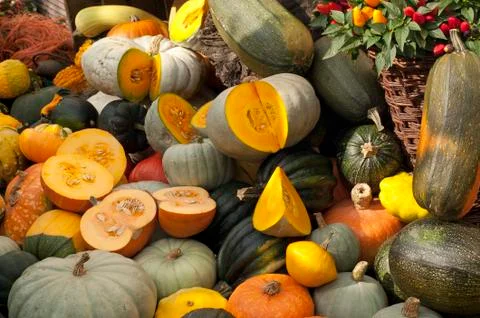 Variety of pumpkins Stock-Fotos