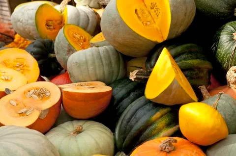 Variety of pumpkins Stock Photos