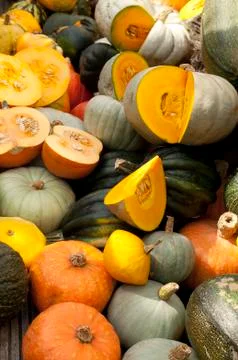 Variety of pumpkins Fotos de archivo