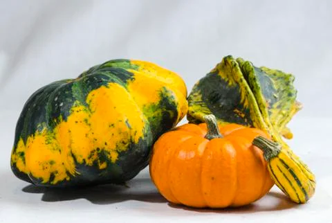 Variety of Pumpkins Stock Photos