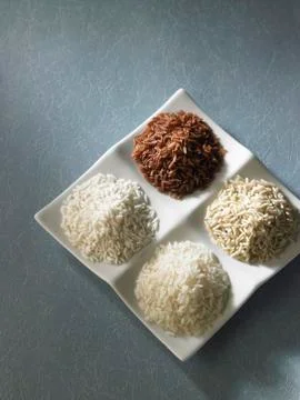 Variety of rice Stock Photos