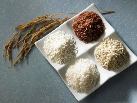 Variety of rice Stock-Fotos