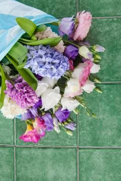 Variety of spring flowers Stock Photos