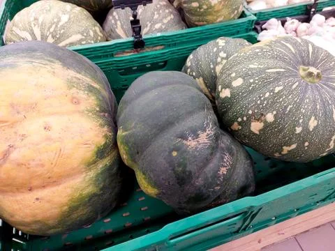 Variety of Squash Displayed in Green Baskets at Local Market During the Fal.. Stock Photos