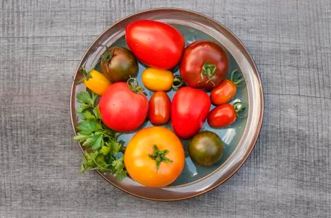 Variety of tomato Stock Photos