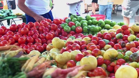 Variety of Tomatoes Stock Footage 59083979
