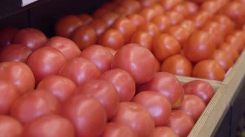 Variety Of Tomatoes Vegetables Stock Footage 127194907
