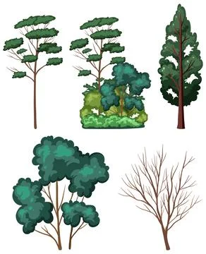 Variety trees on white background Stock Illustration