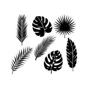 Variety of Tropical Leaf Illustrations. Vector icon. Stock Illustration