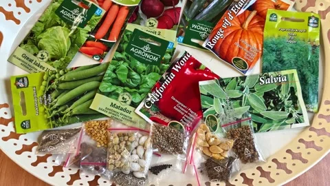Variety of vegetable and herb seed packets spread on decorative tray Stock Footage 321943005
