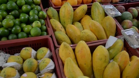 Variety of vegetables Stock Footage 76911147