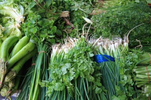 Variety of vegetables Stock Photos