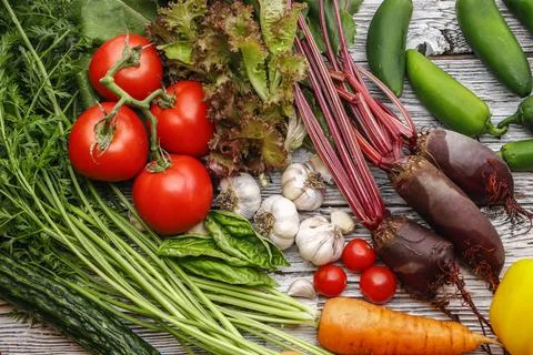 Variety of vegetables. Stock Photos
