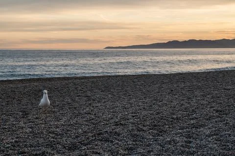 Varigotti Stock Photos