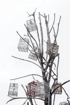 Variour bird house with dead tree. Stock Photos