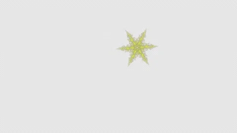 Various abstract snowflakes on a transparent background. Stock Footage 163088572