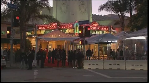 Actor Adam Janes Stock Videos – Royalty-Free HD & 4K Videos