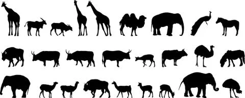 Various animals silhouettes Illustrazione stock