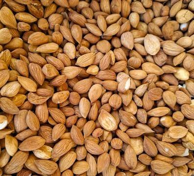 Various apricot kernels spread on a flat surface in natural light showcasin.. Foto stock