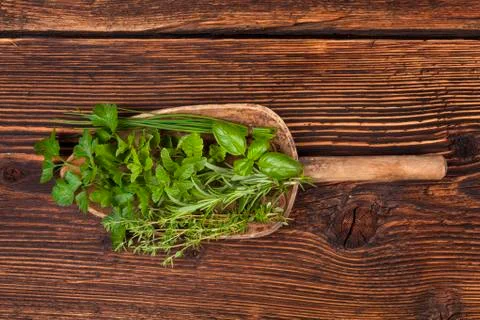 Various aromatic culinary herbs, rustic style. Stock Photos
