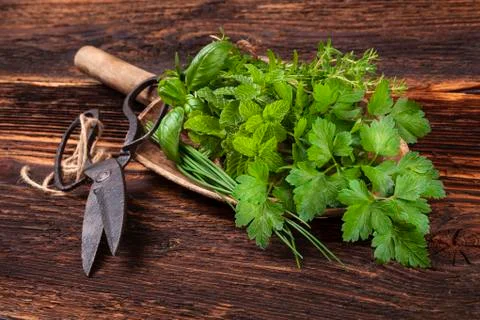 Various aromatic culinary herbs, rustic style. Stock Photos