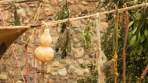Various aromatic herbs hanging from strings to dry. Video stock 334345255