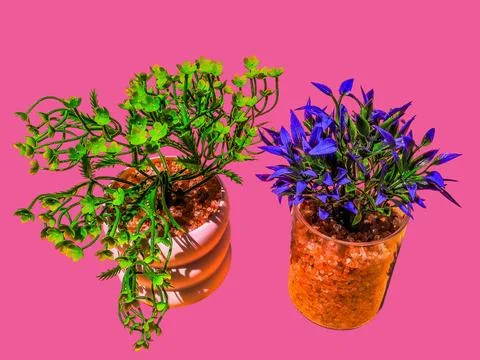 Various artificial trees isolated on pink background Fotos Stock
