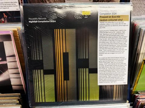 Various Artists Nightfall Compilation 2024 vinyl album by Piccadilly Record.. Stock Photos
