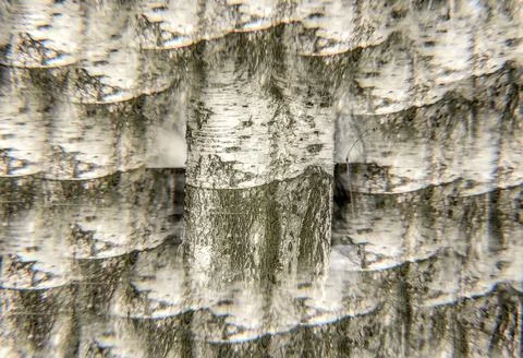 Various backgrounds obtained with multiple exposure Stock Photos